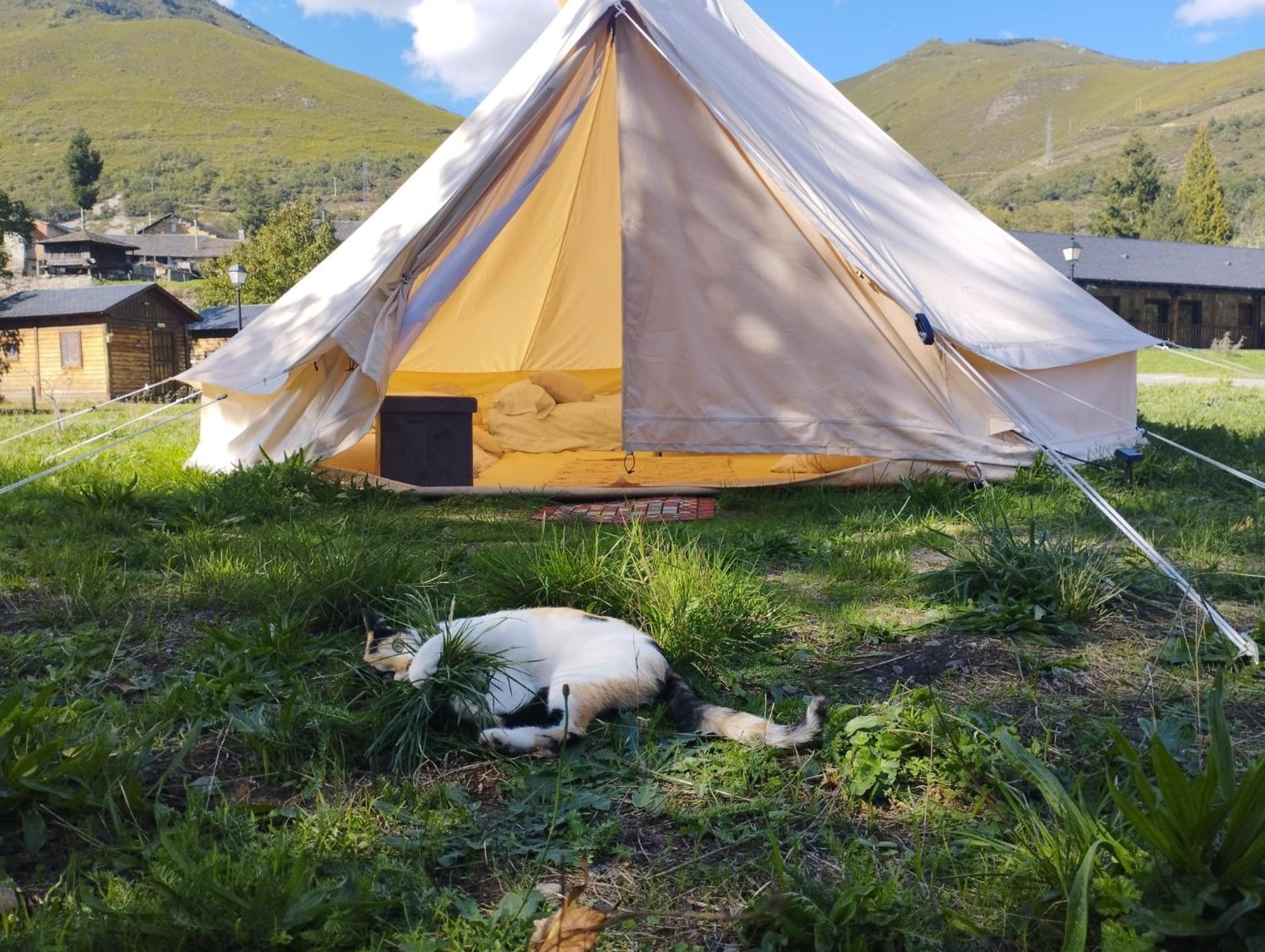 Camping La Zarapica - Palacios Del Sil المظهر الخارجي الصورة